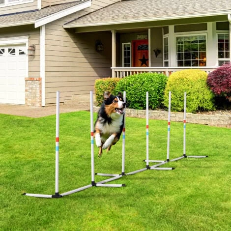 PawHut Set Agility Dog Con 6 Pali In PE E Borsa Di Trasporto Inclusa, Bianco 4 PawHut Set Agility Dog Con 6 Pali In PE E Borsa Di Trasporto Inclusa, Bianco - immagine 2