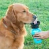 DOGWATER: Bottiglia Per Bere Per Cani -Cibi per cani in Italia 54005575 1