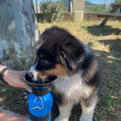 DOGWATER: Bottiglia Per Bere Per Cani -Cibi per cani in Italia 54005575 2