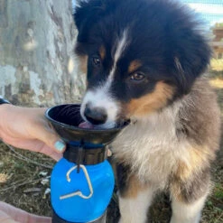 DOGWATER: Bottiglia Per Bere Per Cani -Cibi per cani in Italia 54005575 4