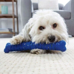 CHEWBRUSH: Osso Da Masticare Anti-tartaro Per Cani -Cibi per cani in Italia 54005768 3