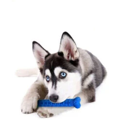 CHEWBRUSH: Osso Da Masticare Anti-tartaro Per Cani -Cibi per cani in Italia 54005768 5