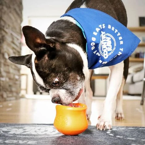 Giocattolo Per Cani Con Zogoflex Toppl Arancione Mandarino S West Paw 4 Giocattolo Per Cani Con Zogoflex Toppl Arancione Mandarino S West Paw - immagine 2