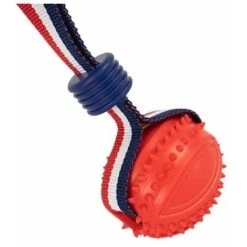 Ibanez Lanciatore Elastico Con Palla Lanciatore Di Palle Ovali Rosse -Cibi per cani in Italia 54303720 3