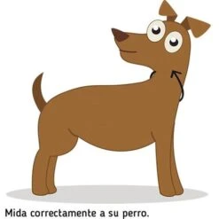 Ibanez Collane A Catena In Acciaio Inossidabile COLLANA A CATENA 65CM SOTTILE LUNGA CATENA A SLABONI -Cibi per cani in Italia 54303785 5