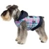 Ibanez Giacca Da Pioggia Con Cappuccio LAVENDER RAINCOAT LAVENDER HOODED RAINCOAT 25CM -Cibi per cani in Italia 54303809 1