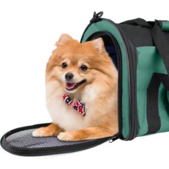Todeco Sacchetto Di Trasporto Per Animali, Borsa Per Cani E Gatti - Materiale: Materiale A Maglia - Dimensione: 50 X 31 X 29 Cm - 50 X 31 X 29 Cm, Verde -Cibi per cani in Italia 54376752 4