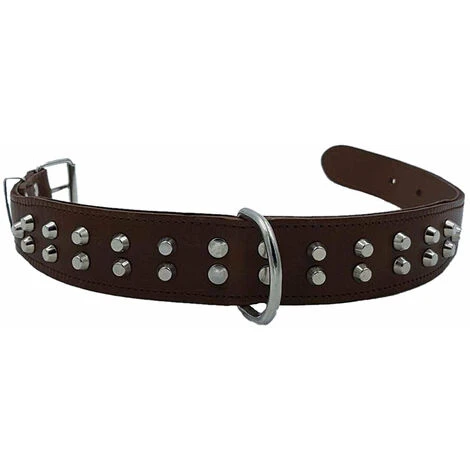 Collare Per Cani In Cuoio Con Borchie E Fibbia In Metallo -70 Cm 5 Collare Per Cani In Cuoio Con Borchie E Fibbia In Metallo -70 Cm - immagine 3