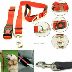 GUINZAGLIO CON CINTURA SICUREZZA E COLLERE TRASPORTO CANE GATTO AUTO REGOLABILE