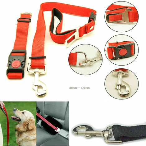 GUINZAGLIO CON CINTURA SICUREZZA E COLLERE TRASPORTO CANE GATTO AUTO REGOLABILE 3 GUINZAGLIO CON CINTURA SICUREZZA E COLLERE TRASPORTO CANE GATTO AUTO REGOLABILE