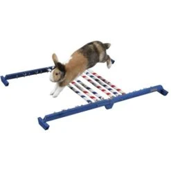 Combo Jump/Giocattolo Di Agilità Per Roditori 7-92 Cm Kerbl 9 Combo Jump/Giocattolo Di Agilità Per Roditori 7-92 Cm Kerbl -Cibi per cani in Italia 54820399 3