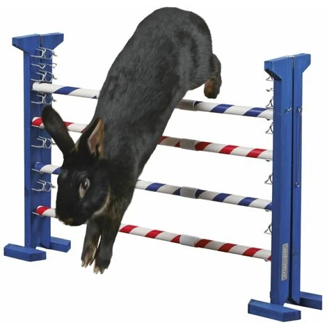 Combo Jump/Giocattolo Di Agilità Per Roditori 7-92 Cm Kerbl 6 Combo Jump/Giocattolo Di Agilità Per Roditori 7-92 Cm Kerbl - immagine 4