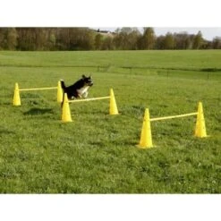2-in-1 Set Di Coni Per Agility Gialli 81994 Kerbl 11 2-in-1 Set Di Coni Per Agility Gialli 81994 Kerbl -Cibi per cani in Italia 5487739 5