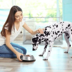 Relaxdays Gabbia Per Cani, Kennel Casa O Auto, HLP: 51x60x45 Cm, Box Pieghevole, Base In Acciaio, 2 Porte, Argentato -Cibi per cani in Italia 54889698 3