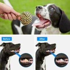 GIOCHI CANE 10 PEZZI GIOCATTOLI PER CANI, CORDA 100% COTONE LAVABILI PER LA PULIZIA DEI DENTI NOBLEZA ADATTO A CANI DI PICCOLA E MEDIA TAGLIA -Cibi per cani in Italia 57259370 3
