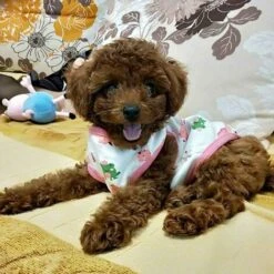 SOEKAVIA 2 PZ Cotone Pet Dog Cat Shirt Cartoon Stampa Cane T-Shirt Abbigliamento Per Cani Di Taglia Media Cucciolo Gatti Primavera Estate Gilet Traspirante, Scimmia Del Caffè L -Cibi per cani in Italia 57587424 4