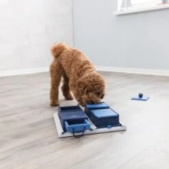 Attività Per Cani Poker Box 1 Gioco Strategia TRIXIE -Cibi per cani in Italia 58041439 4