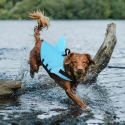 Giubbotto Salvagente Per Cani, Per Animali Domestici Ripstop, Salvavita In Piscina, Spiaggia, Barca, Blu M -Cibi per cani in Italia 58435276 5