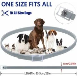 HIASDFLS Collare Antiparassitario Per Animali, Efficace Protezione Contro Pulci, Zecche E Zanzare Per Cani, Gatti 9 HIASDFLS Collare Antiparassitario Per Animali, Efficace Protezione Contro Pulci, Zecche E Zanzare Per Cani, Gatti -Cibi per cani in Italia 59009549 3