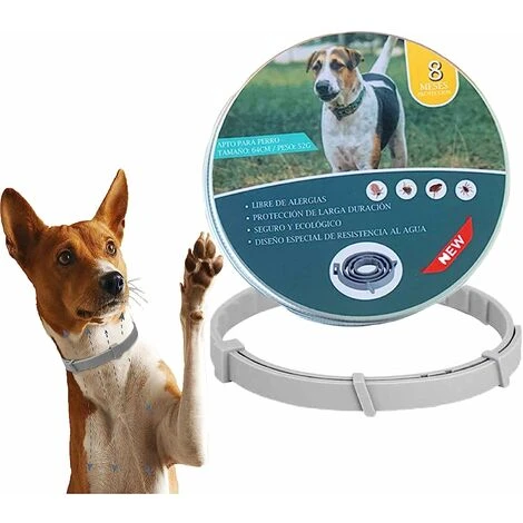 HIASDFLS Collare Per Pulci E Zecche, Collare Per Pulci E Zecche Per Cani, Collare Per Pulci E Zecche Per Cani, Collare Per Pulci E Zecche Adatto Per Cuccioli - Dura 8 Mesi - 63 (scatola Di Ferro) 3 HIASDFLS Collare Per Pulci E Zecche, Collare Per Pulci E Zecche Per Cani, Collare Per Pulci E Zecche Per Cani, Collare Per Pulci E Zecche Adatto Per Cuccioli - Dura 8 Mesi - 63 (scatola Di Ferro)