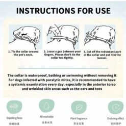 HIASDFLS Collare Per Pulci E Zecche, Collare Per Pulci E Zecche Per Cani, Collare Per Pulci E Zecche Per Cani, Collare Per Pulci E Zecche Adatto Per Cuccioli - Dura 8 Mesi - 63 (scatola Di Ferro) 9 HIASDFLS Collare Per Pulci E Zecche, Collare Per Pulci E Zecche Per Cani, Collare Per Pulci E Zecche Per Cani, Collare Per Pulci E Zecche Adatto Per Cuccioli - Dura 8 Mesi - 63 (scatola Di Ferro) -Cibi per cani in Italia 59010012 3