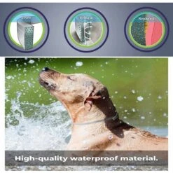 HIASDFLS Collare Per Pulci E Zecche, Collare Per Pulci E Zecche Per Cani, Collare Per Pulci E Zecche Per Cani, Collare Per Pulci E Zecche Adatto Per Cuccioli - Dura 8 Mesi - 63 (scatola Di Ferro) 11 HIASDFLS Collare Per Pulci E Zecche, Collare Per Pulci E Zecche Per Cani, Collare Per Pulci E Zecche Per Cani, Collare Per Pulci E Zecche Adatto Per Cuccioli - Dura 8 Mesi - 63 (scatola Di Ferro) -Cibi per cani in Italia 59010012 5