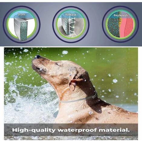 HIASDFLS Collare Per Pulci E Zecche, Collare Per Pulci E Zecche Per Cani, Collare Per Pulci E Zecche Per Cani, Collare Per Pulci E Zecche Adatto Per Cuccioli - Dura 8 Mesi - 63 (scatola Di Ferro) 7 HIASDFLS Collare Per Pulci E Zecche, Collare Per Pulci E Zecche Per Cani, Collare Per Pulci E Zecche Per Cani, Collare Per Pulci E Zecche Adatto Per Cuccioli - Dura 8 Mesi - 63 (scatola Di Ferro) - immagine 5