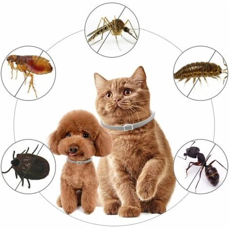 HIASDFLS Collare Antipulci E Zecche Per Cani, Collare Antipulci E Antizecche Per Cani Collare Regolabile 8 Mesi Prevenzione Pulci 7 HIASDFLS Collare Antipulci E Zecche Per Cani, Collare Antipulci E Antizecche Per Cani Collare Regolabile 8 Mesi Prevenzione Pulci - immagine 5