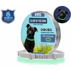 HIASDFLS Collare Antipulci E Zecche Per Cani E Gatti, Trattamento Antizecche E Pulci, Impermeabile Per, Taglia Regolabile, Protezione 8 Mesi, Confezione Da 1 (grande)