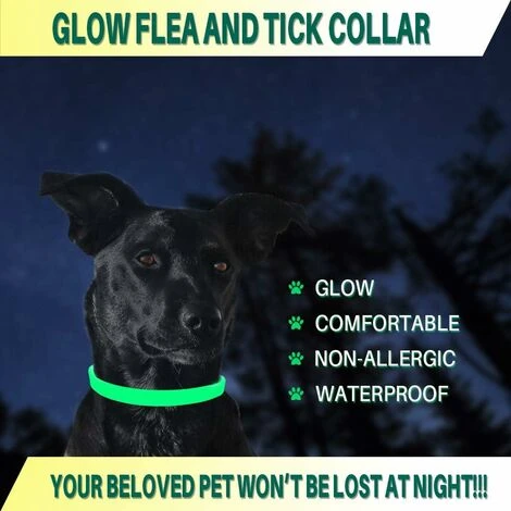 HIASDFLS Collare Antipulci E Zecche Per Cani E Gatti, Trattamento Antizecche E Pulci, Impermeabile Per, Taglia Regolabile, Protezione 8 Mesi, Confezione Da 1 (grande) 5 HIASDFLS Collare Antipulci E Zecche Per Cani E Gatti, Trattamento Antizecche E Pulci, Impermeabile Per, Taglia Regolabile, Protezione 8 Mesi, Confezione Da 1 (grande) - immagine 3