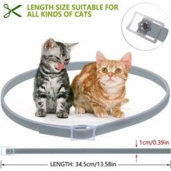 HIASDFLS Collare Antipulci E Zecche Per Cani E Gatti, Collare Antiparassitario Regolabile Per Cani E Gatti - Olio Essenziale Naturale -Cibi per cani in Italia 59010107 5