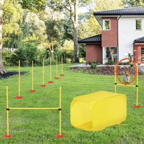 PawHut Set Agility Dog Per Addestramento Cani Con Ostacoli Regolabili, Slalom E Tunnel 4 PawHut Set Agility Dog Per Addestramento Cani Con Ostacoli Regolabili, Slalom E Tunnel - immagine 2