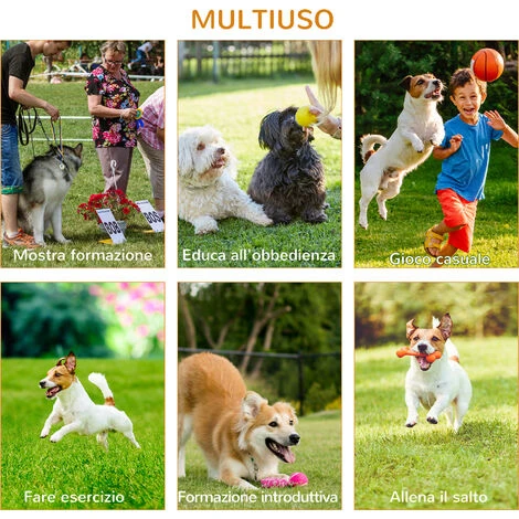 PawHut Set Agility Dog Per Addestramento Cani Con Ostacoli Regolabili, Slalom E Tunnel 7 PawHut Set Agility Dog Per Addestramento Cani Con Ostacoli Regolabili, Slalom E Tunnel - immagine 5