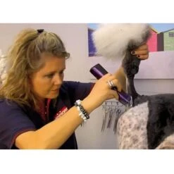 Ibanez Heiniger Saphir Style Lilac (batteria) HEINIGER SAPHIR STYLE (2 BATTERIE) 11 Ibanez Heiniger Saphir Style Lilac (batteria) HEINIGER SAPHIR STYLE (2 BATTERIE) -Cibi per cani in Italia 59156055 5