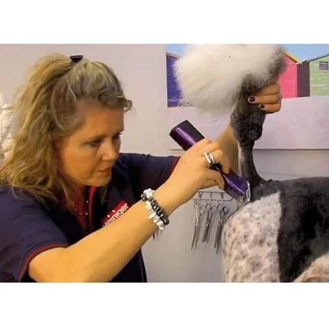 Ibanez Heiniger Saphir Style Lilac (batteria) HEINIGER SAPHIR STYLE (2 BATTERIE) 7 Ibanez Heiniger Saphir Style Lilac (batteria) HEINIGER SAPHIR STYLE (2 BATTERIE) - immagine 5