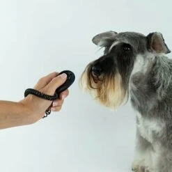 Clicker Con Elastico Ibanez -Cibi per cani in Italia 59156060 3