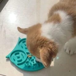 HIASDFLS Tappetino Per Leccare Animali Domestici Per Cani E Gatti, Tappetino Per Mangiatoia Lenta Per Animali Domestici Con Ventose Per Prevenire Il Ribaltamento, Tappetino Per Leccare Cani Perfetto P -Cibi per cani in Italia 59383557 3