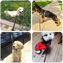 HIASDFLS Guinzaglio Da Addestramento Per Cani In Pelle. Realizzato In Pelle Ed è Un'opzione Per Cani Da Caccia Con Gancio In Rame Marrone Di 3,2 Piedi -Cibi per cani in Italia 59384066 3