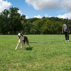 HIASDFLS Cane/cucciolo Obedience Recall Training Agility Guinzaglio Per Addestramento Al Piombo - Ottimo Per Addestramento, Gioco, Campeggio Green50feet -Cibi per cani in Italia 59384711 3