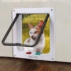 Randaco Gattaiola Gattaiola Gattaiola A 4 Vie Porta Gatto Con Sistema Di Chiusura A 4 Vie Gatti -Cibi per cani in Italia 60447807 1