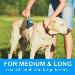 RHAFAYRE Spazzola Per Cani E Gatti, Pettine Districante Per Cani Professionale E Spazzola Per Cani A Pelo Lungo, Rete Per Toelettatura Per Cani E Gatti Rimuovi Il Sottopelo Dell'animale Domestico -Cibi per cani in Italia 60903865 5