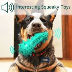 RHAFAYRE Spazzolino Da Denti Per Cani, Giocattolo Da Masticare Per Cani, Cemento Per La Pulizia Dei Denti In Gomma Resistente Ai Morsi Per Cani Di Piccola Taglia (blu) -Cibi per cani in Italia 60903866 4