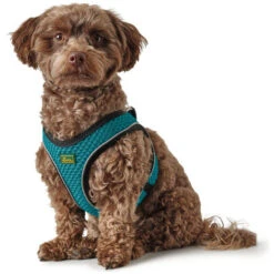 Imbracatura Per Cani Hunter Hilo Comfort 55-60 Cm Taglia M Turchese -Cibi per cani in Italia 61204886 5