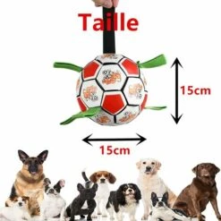 Giocattolo Per Cani, Palla Per Cani, Giocattolo Per Cani Indistruttibile, Invio Pompa Ad Aria -Cibi per cani in Italia 63845520 2