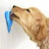 Trattamento Per Il Bagno Lento Del Cane 2 Trattamento Per Il Bagno Lento Del Cane -Cibi per cani in Italia 63849576 1