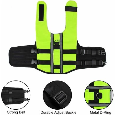 Kueatily Giubbotto Di Salvataggio Per Cani Con Manico Giubbotto Di Salvataggio Imbottito Riflettente Ausilio Per Il Nuoto Per L'allenamento Del Nuoto Per Cani Di Taglia Piccola E Media S. 4 Kueatily Giubbotto Di Salvataggio Per Cani Con Manico Giubbotto Di Salvataggio Imbottito Riflettente Ausilio Per Il Nuoto Per L'allenamento Del Nuoto Per Cani Di Taglia Piccola E Media S. - immagine 2