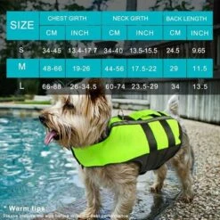 Kueatily Giubbotto Di Salvataggio Per Cani Con Manico Giubbotto Di Salvataggio Imbottito Riflettente Ausilio Per Il Nuoto Per L'allenamento Del Nuoto Per Cani Di Taglia Piccola E Media S. 11 Kueatily Giubbotto Di Salvataggio Per Cani Con Manico Giubbotto Di Salvataggio Imbottito Riflettente Ausilio Per Il Nuoto Per L'allenamento Del Nuoto Per Cani Di Taglia Piccola E Media S. -Cibi per cani in Italia 64666958 5