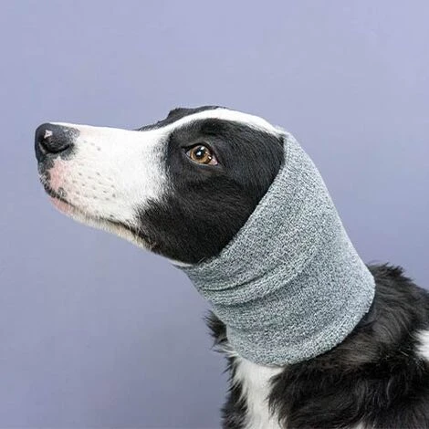 Ibanez Fascia Protettiva Antistress TAGLIA M 4 Ibanez Fascia Protettiva Antistress TAGLIA M - immagine 2