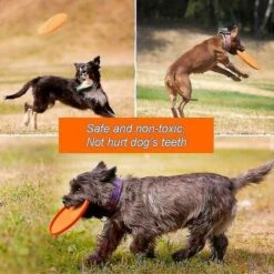 Frisbee Per Cani 2 Pezzi Frisbee Per Cani Disco In Morbida Gomma Naturale Per Cani Di Sicurezza Disco Volante Giocattolo Per Volo All'aperto(L) -Cibi per cani in Italia 65792304 3