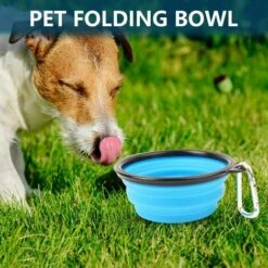 Ciotola Per Cani Pieghevole, Ciotola Per Cani Da Viaggio, Ciotola Per Cani Portatile, Ciotola Per Gatti Pieghevole, 2 Pezzi Ciotole Da Viaggio Per Cani E Gatti Ciotole Da Viaggio Per Cani In Silicone -Cibi per cani in Italia 66559585 3